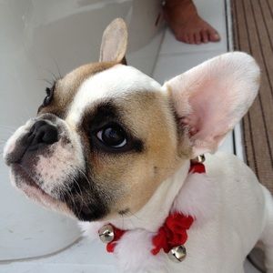 Meet your Posher, Gayle